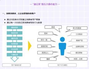 精準(zhǔn)化數(shù)字營銷新航標(biāo) 為何選擇CCN中商蒲公英營銷數(shù)字化解決方案