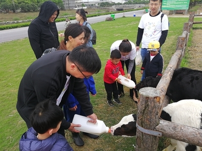 奶牛休閑觀光牧場:浙江一景生態(tài)牧場